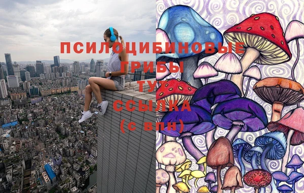бошки Алексеевка