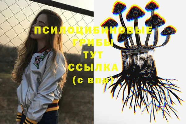 ECSTASY Алзамай