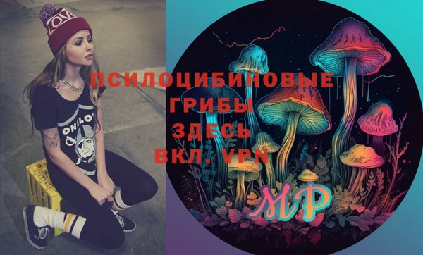 гидропоника Алексин