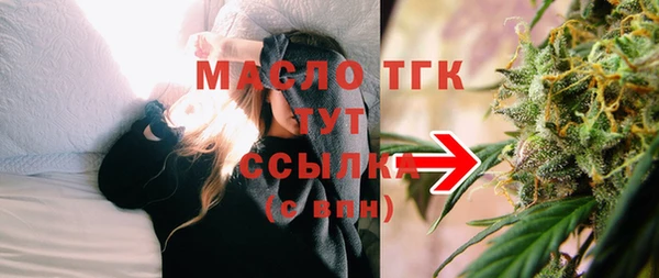 ECSTASY Алзамай