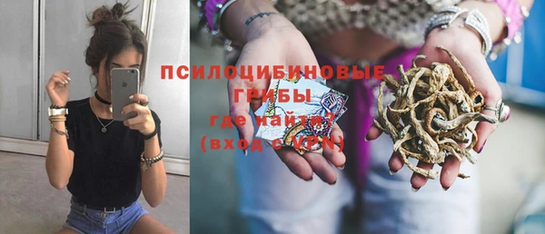 бошки Алексеевка