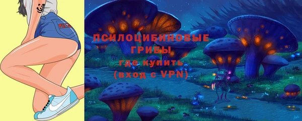 ECSTASY Алзамай