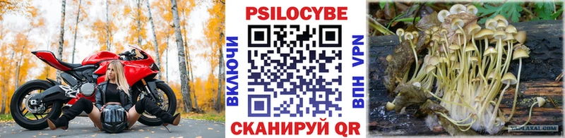 Псилоцибиновые грибы мухоморы  Верхняя Салда 